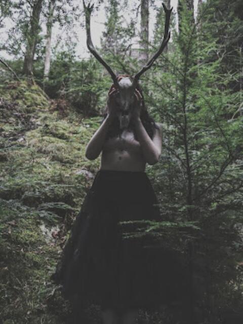 Thornwaltz